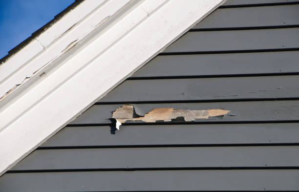 Best Engineered Wood Siding  in Wheatland, CA
